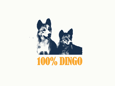 100% DINGO 100 australia collage dingo halftone illustration mexico typography