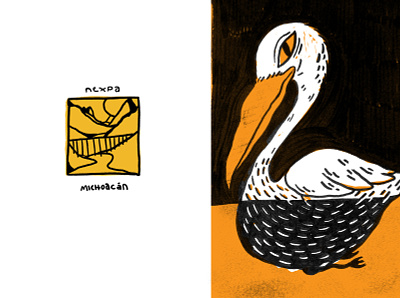 Nexpa illustration lettering mexico michoacan pelican texture typography