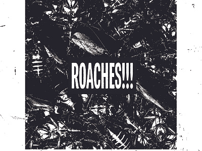 Roaches album cockroach collage illustration insect punk roach texture typography