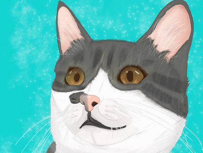 My cat art creative design illustration