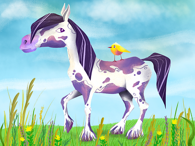 Pinto horse animal illustartion character character design character illustration illustration photoshop