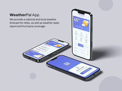 WeatherPal app clean design icon interface ui uiux