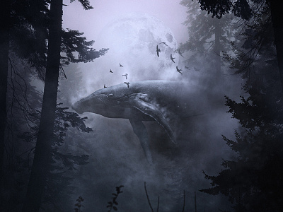 Humpback Forest photo manipulation