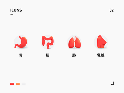 一组人体器官小图标