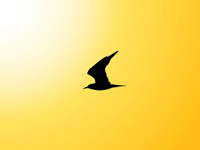 Bird Silhouette Illustration