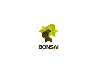 Bonsai Logo concept