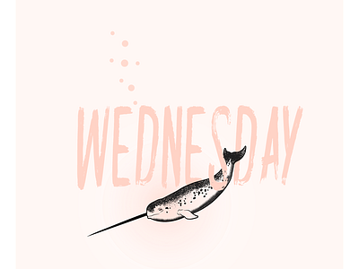 Wednesday Whal narwhal pink wednesday whale