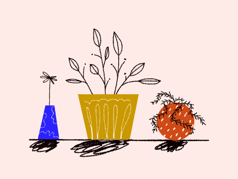 Expression is Survival pattern fun texture shadows colorful digital illustration unique handcrafted illustration plant lady bold unique different expression plants