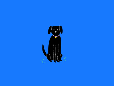 wuphf.com blue dog funny illustration illustrator procreate simple the office