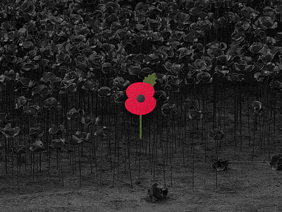 Remembrance Poppy / Blood Swept Lands and Seas of Red design flower history icon logo london memorial poppy tower war