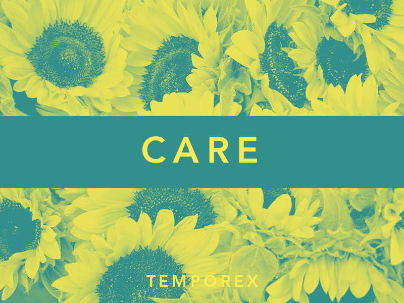 Care by TEMPOREX album artwork sunflower flower music challenge jrdickie typehue temporex duotone record care