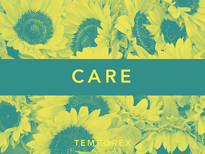 Care by TEMPOREX album artwork care challenge duotone flower jrdickie music record sunflower temporex typehue