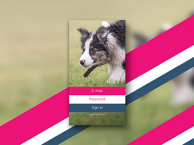 001 - Sign up.2 001 app buttons dailyui form jrdickie pet signup ui uidesign ux uxdesign