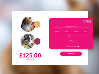 DailyUI #002 Checkout Payment animals cardpayment checkout dailyui design flat jrdickie pets ui uidesign ux uxdesign