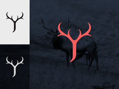 Personal Branding 2018 animal antler brand branding deer design icon jrdickie letter logo stag symbol