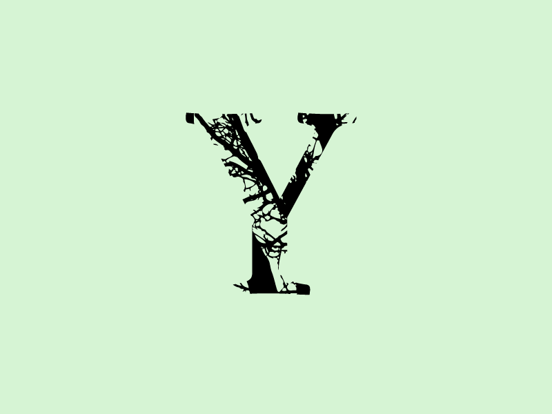 Y winter experiment 36 type lettering challenge text nature tree y letter font 36 days of type lettering 36 days 36 days of type typography vector branding design jrdickie