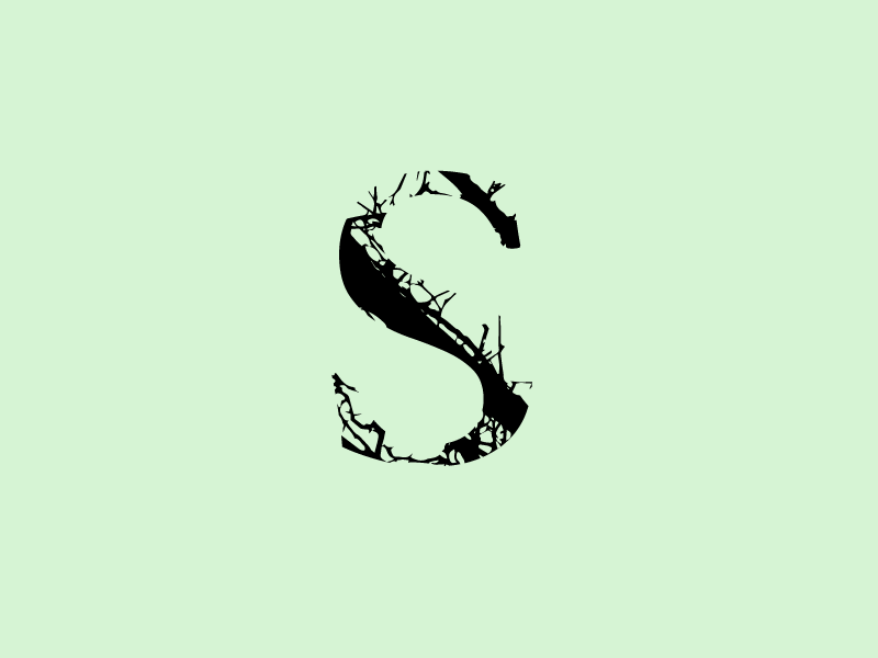 S 36days 36 days of type tree text type art experiment letters lettering letter s 36 36daysoftype font design type design font type typography vector design jrdickie