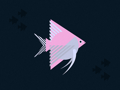 Fish Friday: Angelfish angel animal challenge character coastal design fish illustration illustrator jrdickie lines minimal noise ocean sea sealife series texture triangle vector