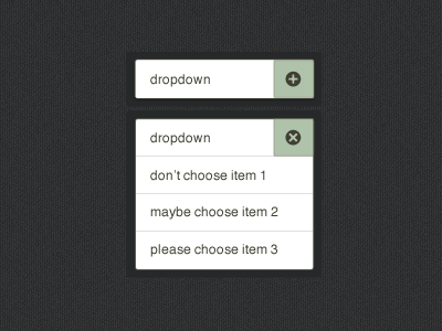 Simple Dropdown UI Element by Ricardo Vazquez on Dribbble