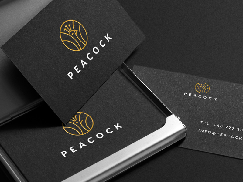 Peacock Logo & CI by Conceptic on Dribbble