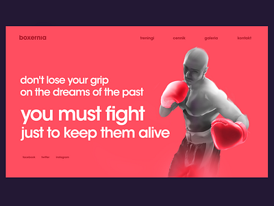 Boxernia boxing club home page webdesign