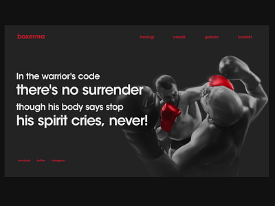 Boxernia2 boxing club home page webdesign