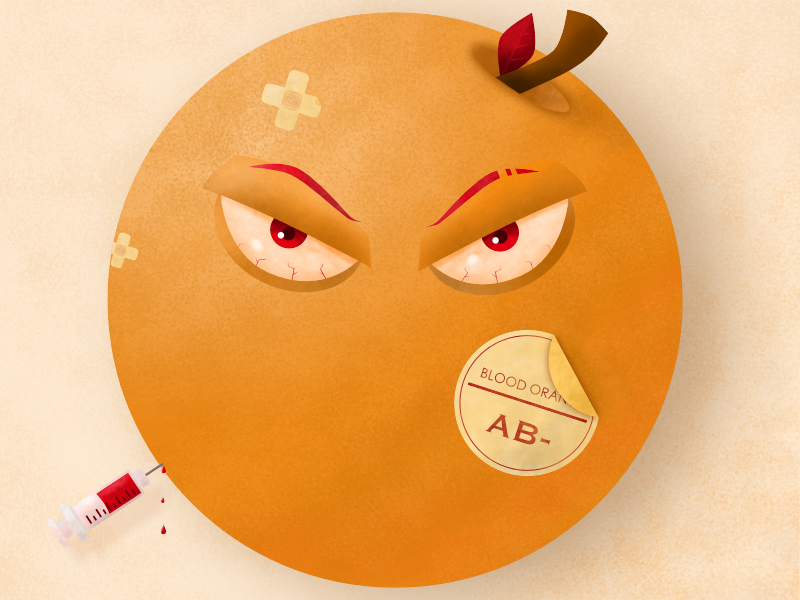 Blood Orange blood donation syringe affinity designer texture brushes texture vector design illustration blood orange fruit