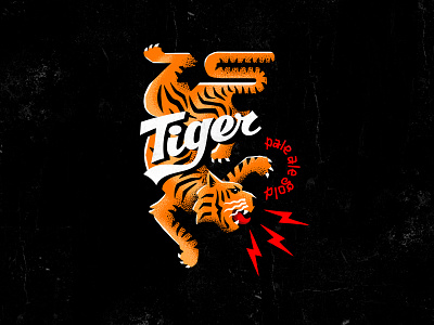 Tiger beer branding concept identity illustration label lettering logo logodesigner logotype tiger