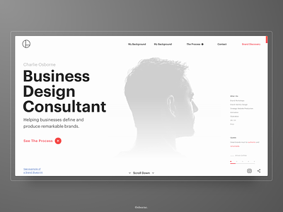 Business Design Consultant - Website Design