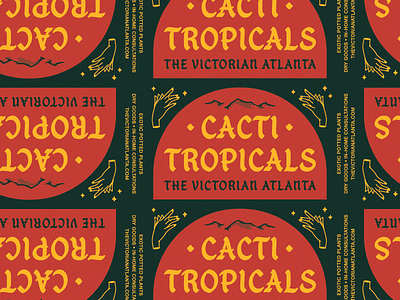 CACTI ✧ TROPICALS atlanta branding cacti ecommerce house plants internet online packaging startup tropical