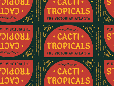 CACTI ✧ TROPICALS atlanta branding cacti ecommerce house plants internet online packaging startup tropical