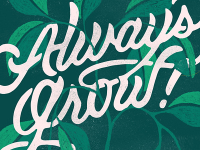Always Grow calligraphy hand drawn hand lettering illustration leaves lettering plant script typography