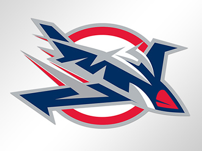 Winnipeg Jets branding hockey ice hockey jets nhl sports sports branding sports logos winnipeg