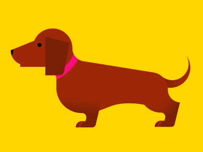 Dachshund. dachshund dog illustration