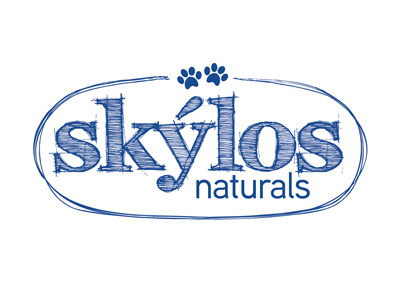 Skyloslogo 400x300 branding identity logo