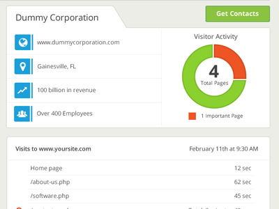 Visitor Info analytics dashboard ui web