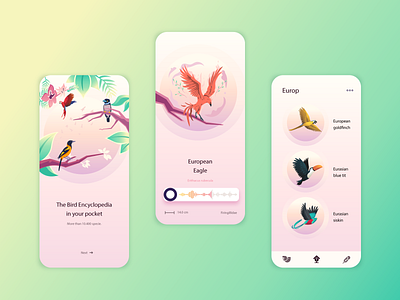 Bird Wiki App Concept