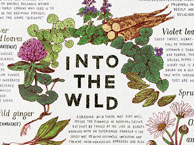 Foraging for edible plants in the wild cooking edible editorial foraging illustration magazine plants wild