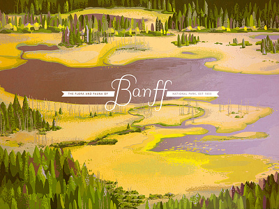 Vermillion Lakes banff illustration national park nature vermillion lakes