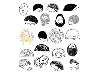 Hedgehogs animals hedgehogs illustration nature