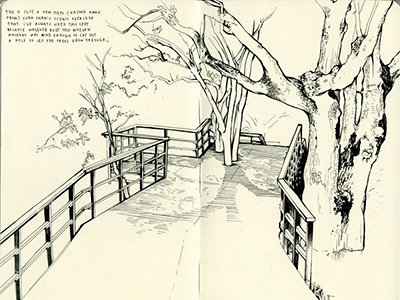 Taiwan hike hiking illustration nature sketchbook taipei taiwan