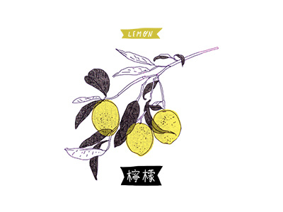 Lemon fruit illustration lemon mandarin nature