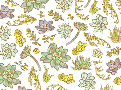 Succulents Pattern floral illustration leaves pattern plant succulent