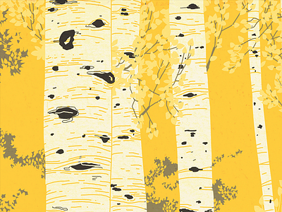 Quaking Aspen aspen drawing illustration nature tree