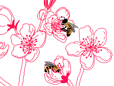 Bees bees drawing flowers illustration pollination