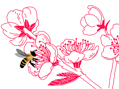 Bees bees drawing flowers illustration pollination