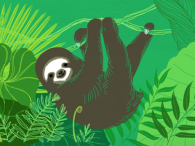 Sloth drawing illustration jungle sloth trees
