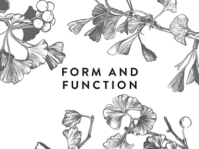 Form and Function book drawing ginkgo illustration trees