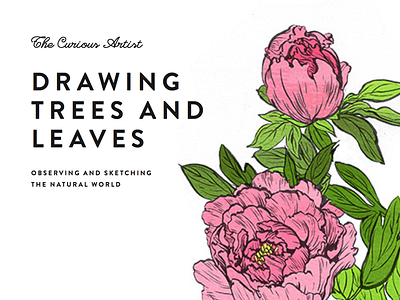 Peonies book drawing flower illustration peony