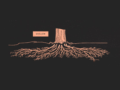 Shallow Roots illustration root system trees